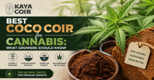Best Coco Coir for Cannabis