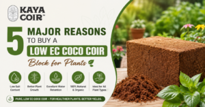Coco Coir Block for Plants