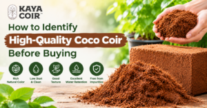 High-Quality Coco Coir Before Buying