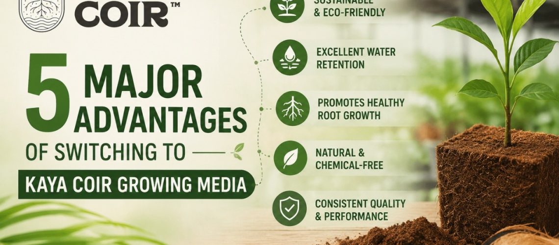 5 Major Advantages of Switching