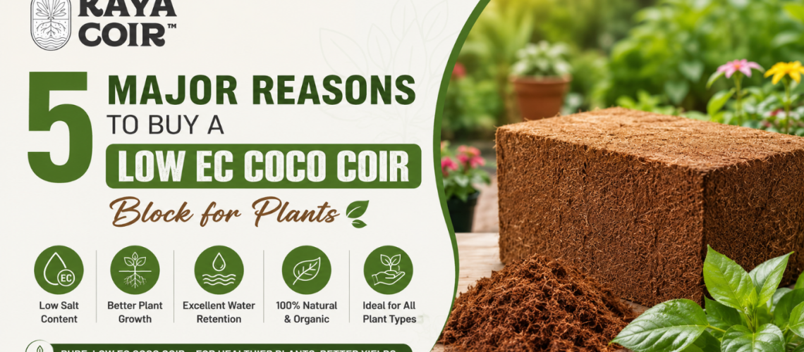 Coco Coir Block for Plants